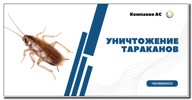 Уничтожение тараканов в Челябинске